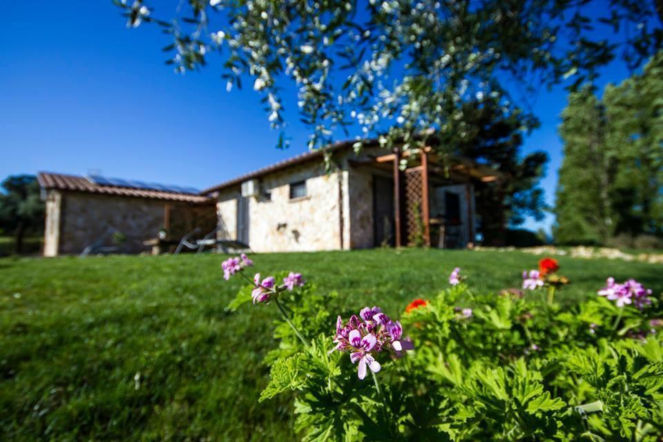 Casale Dinelli Tarquinia