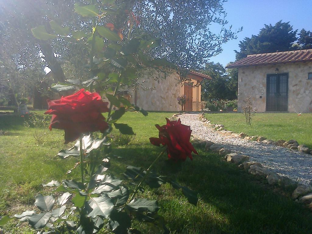Ferienhaus Casale Dinelli