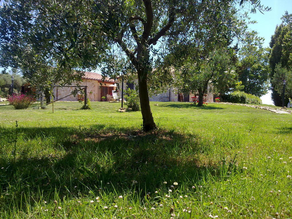 Casale Dinelli Tarquinia